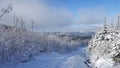 Great from the top of the Black Mountain