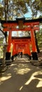 Great tori in japan , temple