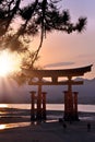 Great tori of Miyajima in the sunset Royalty Free Stock Photo