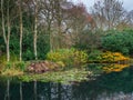 GREAT TORRINGTON, NORTH DEVON - 21 NOVEMBER, 2020: The lake in the RHS garden, Rosemoor. Royalty Free Stock Photo