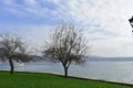 Great tree views and two views of the Bosphorus, istanbul.