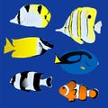 Great tropical fish collection on blue background Royalty Free Stock Photo