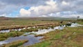 Great Trowlesworthy Tor is a granite tor on the southwestern edge of Dartmoor Devon uk