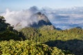 Great view of the foggy at Doi Luang Chiang Dao, High mountain in Chiang Mai Province, Thailand