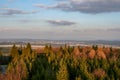 Great view over the forest in bavaria Royalty Free Stock Photo