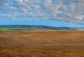 view of plowded land, rows of blackcurrant , sowing time at spring and beautiful sky Royalty Free Stock Photo