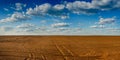 view of plowded land, rows sowing time at spring and beautiful sky Royalty Free Stock Photo