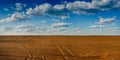 view of plowded land, rows sowing time at spring and beautiful sky