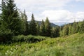 Great views of the mountains. Stones, trees