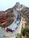 Great Wall in the Autumn