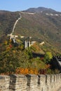 Great Wall in autumn. The wall passes through the tops of the hills covered with forest Royalty Free Stock Photo