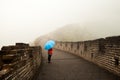 Blue Umbrella Royalty Free Stock Photo