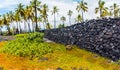 The Great Wall Surrounds The Royal Grounds