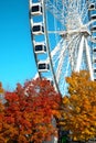 Great wheel of Montreal during fall season Royalty Free Stock Photo