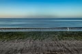 Great white egret looks out into the Gulf of Mexicco during sunrise