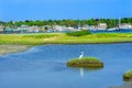 Great White Egret New Padnaram Bridge Harbor Village Dartmouth M Royalty Free Stock Photo