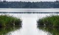 Great white heron. Summer day in August. Lake. Birds. Water and reflection Royalty Free Stock Photo