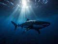 Great White Hunter: Stealth and Power Beneath the Waves Royalty Free Stock Photo