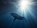 Great White Hunter: Stealth and Power Beneath the Waves Royalty Free Stock Photo