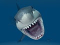 Great White Shark Attack Royalty Free Stock Photo