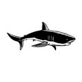 Great White Shark Carcharodon Carcharias White Shark or White Pointer Side View Retro Woodcut Black and White