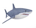 The Great White Shark. Royalty Free Stock Photo