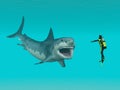 Great White Shark and Diver Royalty Free Stock Photo