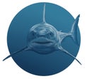 The Great white shark front smiling in the circle shape underwater Royalty Free Stock Photo