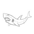 Great white shark hand drawing vintage engraving illustration. vector illustration Royalty Free Stock Photo