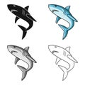 Great white shark icon in cartoon style isolated on white background. Surfing symbol stock vector illustration. Royalty Free Stock Photo