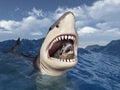 Great white shark with prey in its mouth in stormy sea