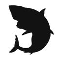 Great white shark silhouette flat black vector isolate illustration. Royalty Free Stock Photo