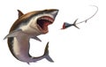 Great white shark attack bait tuna tail illustration isolate realism. Royalty Free Stock Photo