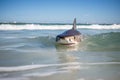 Great White Shark & x28;Carcharodon carcharias& x29; at the beach. Generative AI Royalty Free Stock Photo