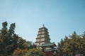 The Great Wild Goose Pagoda