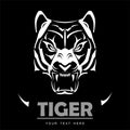 Great wild roaring tiger in white and black