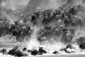 Wildebeests migrating across the Mara River with splash of water Royalty Free Stock Photo