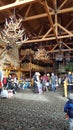 Great wolf lodge