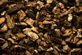 great yellow gentian dried root.