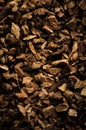 great yellow gentian dried root