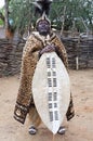 The Great Zulu King