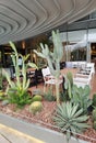Greater Bay China Zhuhai Qianshan UniPark Shopping Mall Store Mexican Restaurant Cactus Garden Outdoor