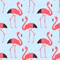 Greater Flamingo Seamless Pattern