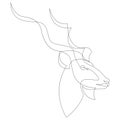 Greater kudu head minimalist drawing. Continuous line art. Vector illustration. Royalty Free Stock Photo