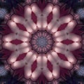 Greatness art Shadow of darkness symmetrical Illustration abstract kaleidoscope art wallpaper design and background