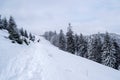 Grecului valley. Winter landscape between Azuga and Grecului valley towards Gura Diham chalet. Royalty Free Stock Photo