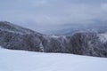 Grecului valley. Winter landscape between Azuga and Grecului valley towards Gura Diham chalet Royalty Free Stock Photo