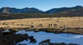 Gredos, Spain. 12-January-2019. Horizontal picture of group of trekkers in the mountains during a sunny winter day