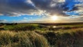 Gree grass landscape sunrise seaside