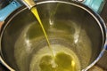 Extra virgin olive oil extraction process in olive oil mill